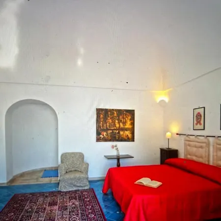 Rosa 37-zdtj Positano
